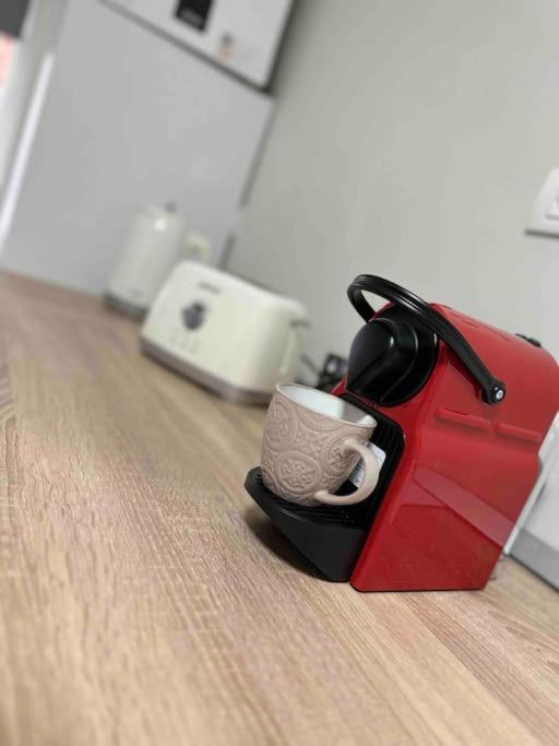 Apartament Z Timisoara Apartment ภายนอก รูปภาพ